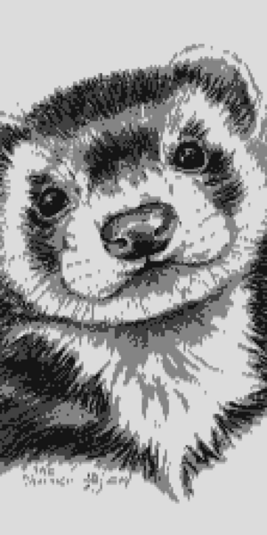 Файл:645675765646453.png