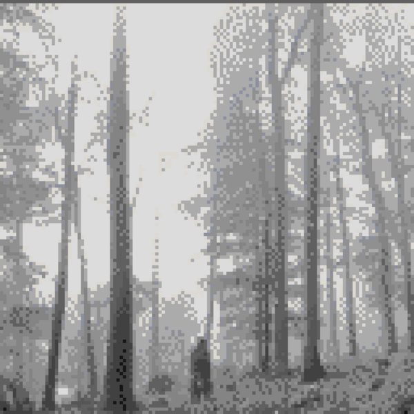 Файл:Minecraft dynamic map 27289 1.png