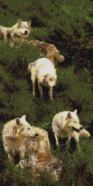 Файл:535345346.png